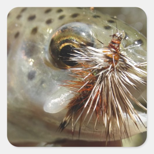 Foto van regenboogforel vierkante sticker (Voorkant)