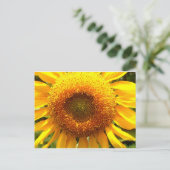 Foto van reuzengele mammolyse briefkaart (Staand voorkant)