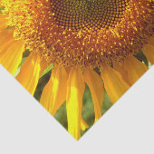 Foto van reuzengele mammolyse tissuepapier (Detail)