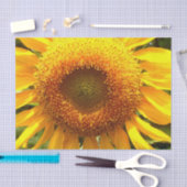 Foto van reuzengele mammolyse tissuepapier (Craft)