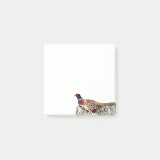 Foto van ringhalsfazant 3x3 aantekeningen post-it® notes (Voorkant)