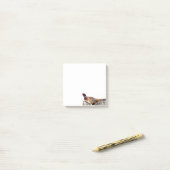 Foto van ringhalsfazant 3x3 aantekeningen post-it® notes (Op bureau)