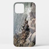 Foto van Rocky Ocean Shore Case-Mate iPhone Case (Achterkant)