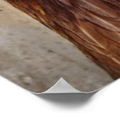 Foto van rode kip poster (Hoek)