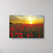 Foto van rode klaproos wilde bloemen canvas afdruk (Voorkant)