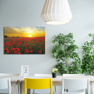 Foto van rode klaproos wilde bloemen canvas afdruk