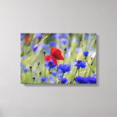 Foto van rode klaproos wilde bloemen canvas afdruk (Voorkant)