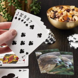 Foto van rode staartbuizerd roofvogel pokerkaarten