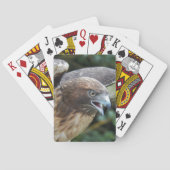 Foto van rode staartbuizerd roofvogel pokerkaarten (Achterkant)