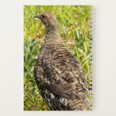 Foto van roethoen in het wild notitieboek (Achterkant)