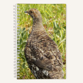 Foto van roethoen in het wild notitieboek (Voorkant)