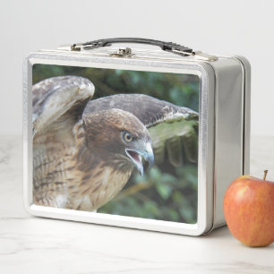 Foto van Roodstaartbuizerd Roofvogel