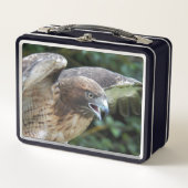 Foto van Roodstaartbuizerd Roofvogel (Voorkant)