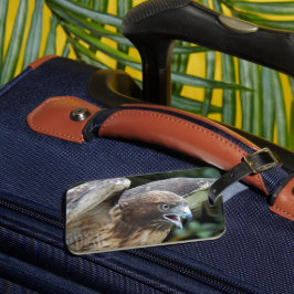 Foto van Roodstaartbuizerd Roofvogel Bagagelabel