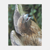 Foto van Roodstaartbuizerd Roofvogel Fleece Deken (Voorkant)