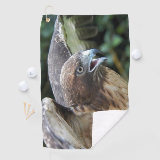 Foto van Roodstaartbuizerd Roofvogel Golfhanddoek (Insitu)