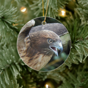 Foto van Roodstaartbuizerd Roofvogel Keramisch Ornament