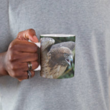 Foto van Roodstaartbuizerd Roofvogel
