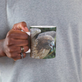 Foto van Roodstaartbuizerd Roofvogel Mok