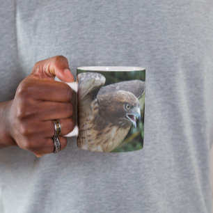 Foto van Roodstaartbuizerd Roofvogel Mok