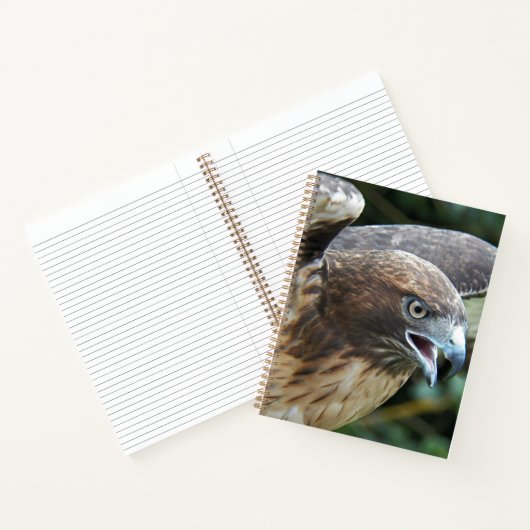 Foto van Roodstaartbuizerd Roofvogel Notitieboek (Binnen)