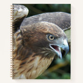 Foto van Roodstaartbuizerd Roofvogel Notitieboek (Voorkant)