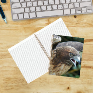 Foto van Roodstaartbuizerd Roofvogel Notitieboek
