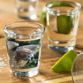 Foto van Roodstaartbuizerd Roofvogel Shot Glas