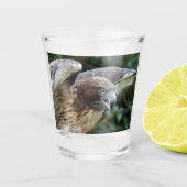 Foto van Roodstaartbuizerd Roofvogel Shot Glas (Voorkant)