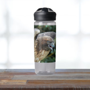 Foto van Roodstaartbuizerd Waterfles
