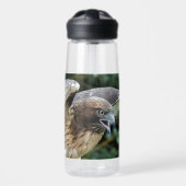Foto van Roodstaartbuizerd Waterfles (Voorkant)