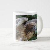 Foto van roofvogel Rode Staartbuizerd Grote Koffiekop (Voorkant rechts)