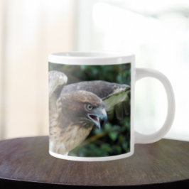 Foto van roofvogel Rode Staartbuizerd Grote Koffiekop