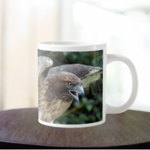 Foto van roofvogel Rode Staartbuizerd Grote Koffiekop