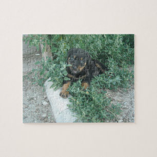 Foto van Rottweiler Puppy Legpuzzel