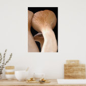 Foto van Royal Trumpet Mushroom Poster (Keuken)