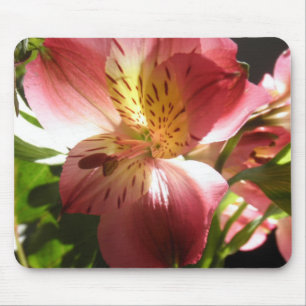 Foto van roze alstroemeria flower Lilies Flowers Muismat