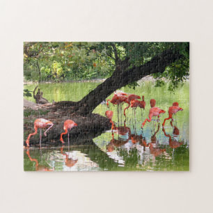 Foto van roze flamingo Flock Wildlife Legpuzzel