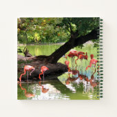 Foto van roze flamingo Flock Wildlife Notitieboek (Achterkant)