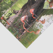 Foto van roze flamingo Flock Wildlife Tissuepapier (Detail)