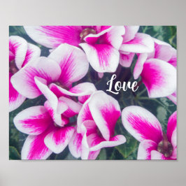 Foto van roze Floral Cyclamen Poster