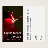 Foto van Roze kerstcacti Bloom Visitekaartjes (Voorkant /achterkant)