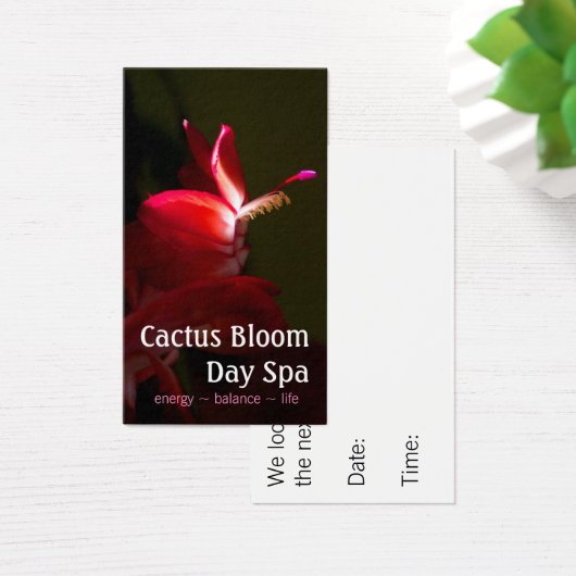 Foto van Roze kerstcacti Bloom Visitekaartjes (Bureau)