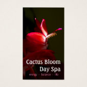 Foto van Roze kerstcacti Bloom Visitekaartjes (Voorkant)