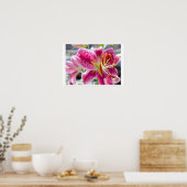 Foto van Roze Lily Flower Poster (Keuken)