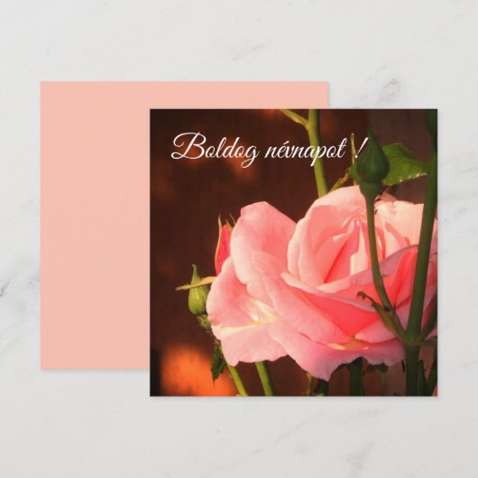 Foto van roze roos - Hongaarse naamdag (Voorkant / Achterkant)
