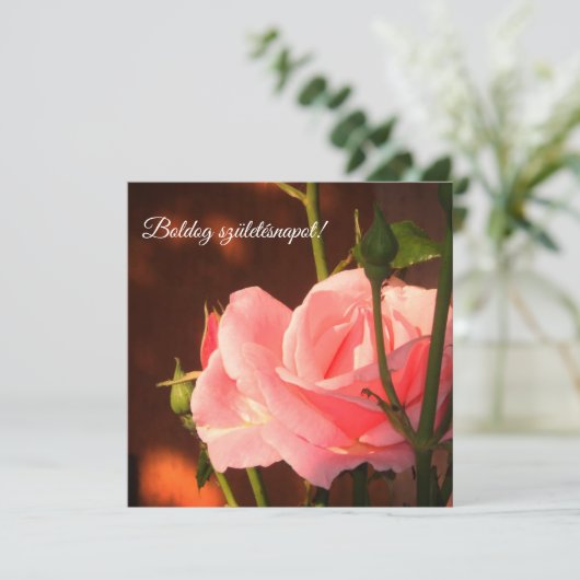 Foto van roze roos - Hongaarse verjaardag (Staand voorkant)