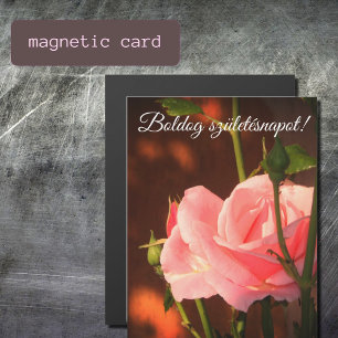 Foto van roze roos - Hongaarse verjaardag