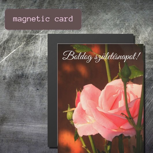 Foto van roze roos - Hongaarse verjaardag