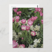 Foto van Roze Tulip Briefkaart (Voorkant / Achterkant)
